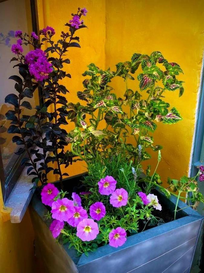 Higos Chumbos, Casa Rural Compartido Чиклана де ла Фронтера Екстериор снимка